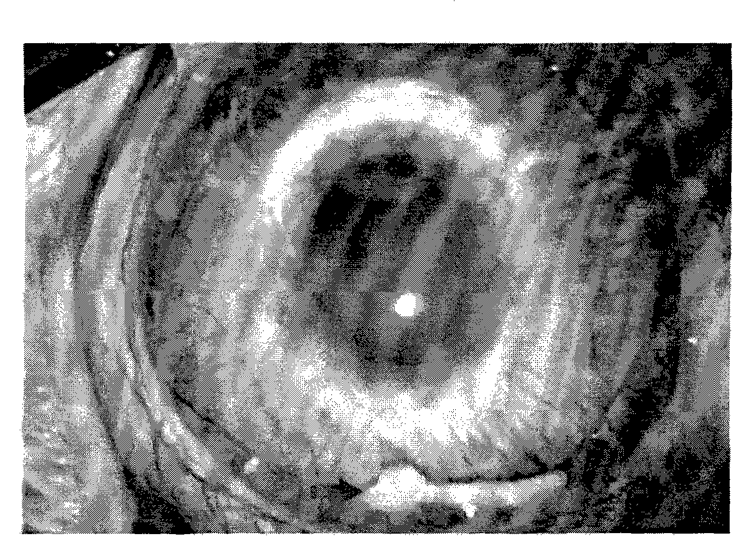 Rapamycin eye-in implantation type medicine release system with bletilla striata glue as carrier