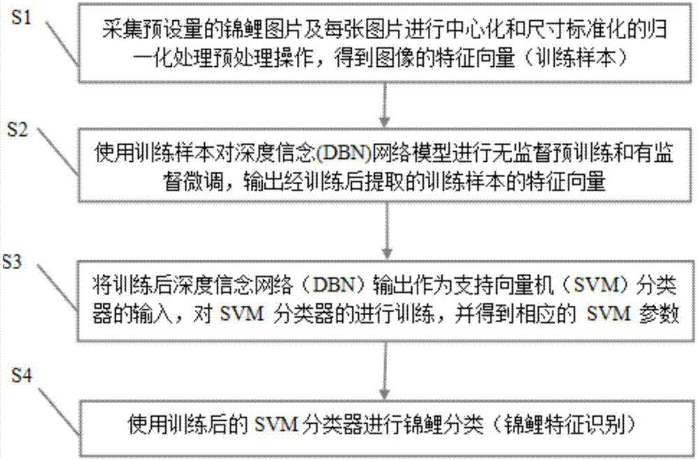 Deep learning-based fancy carp screening method and device