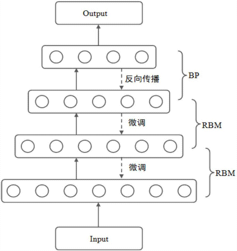 Deep learning-based fancy carp screening method and device