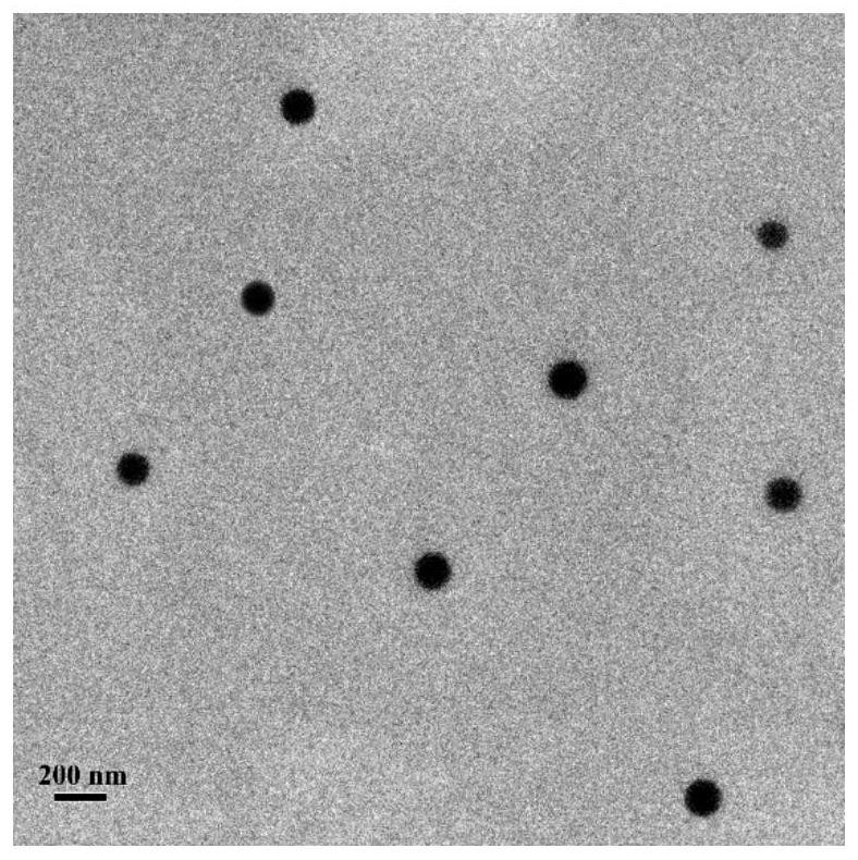 A kind of biocompatible boronic acid nano drug compound and its preparation method and application