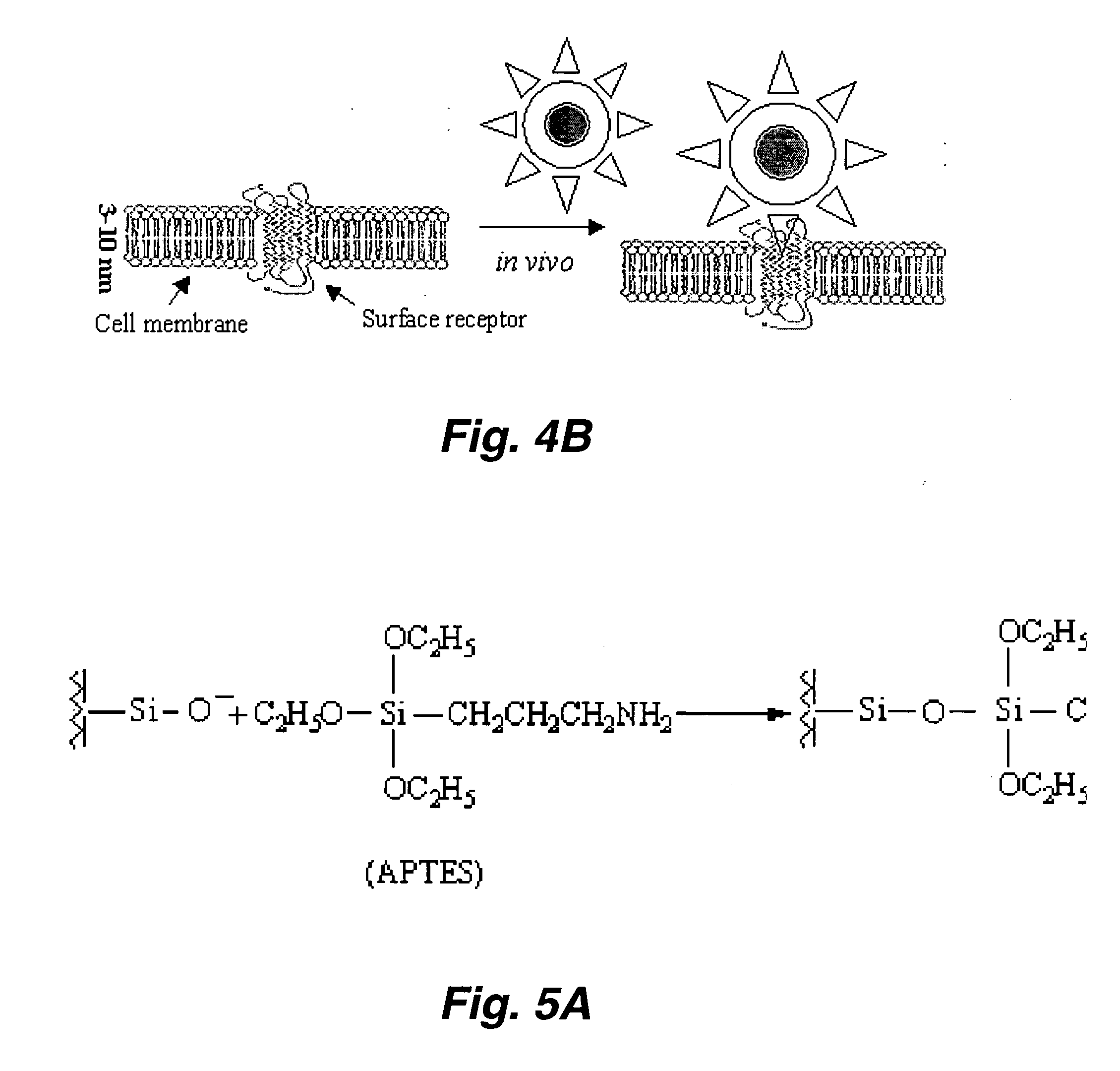 Spin resonance heating and/or imaging in medical applications