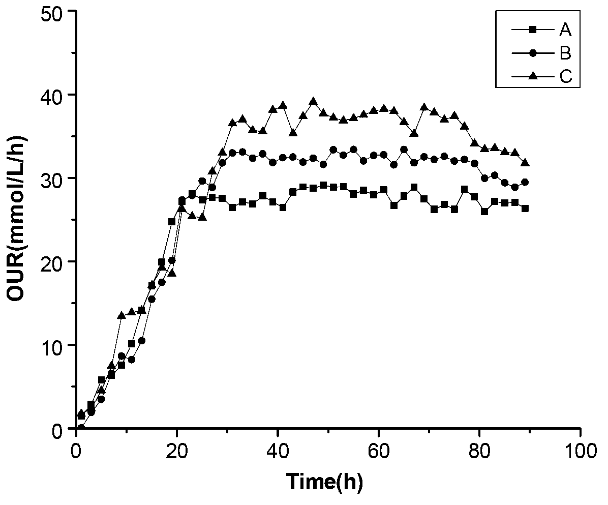 Novel process for fermenting coenzyme Q10 based on online oxygen consumption rate control