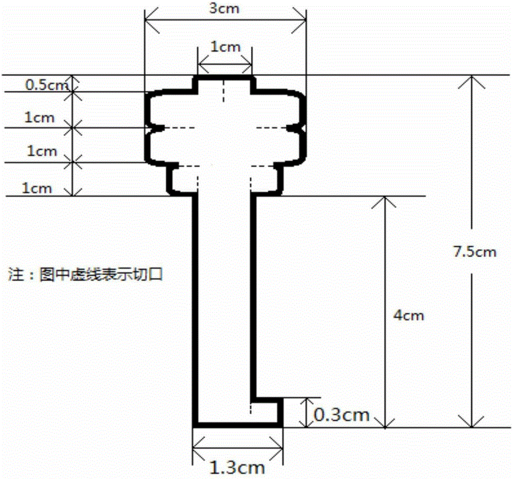 Gastric tube fixing patch, fixing method and tensile force experiment method of gastric tube fixing patch