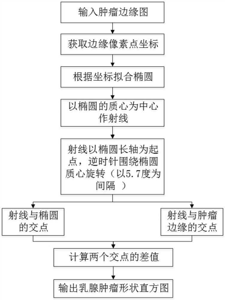 Ultrasonic Breast Tumor Morphological Quantification Feature Extraction Method Based on Shape Histogram