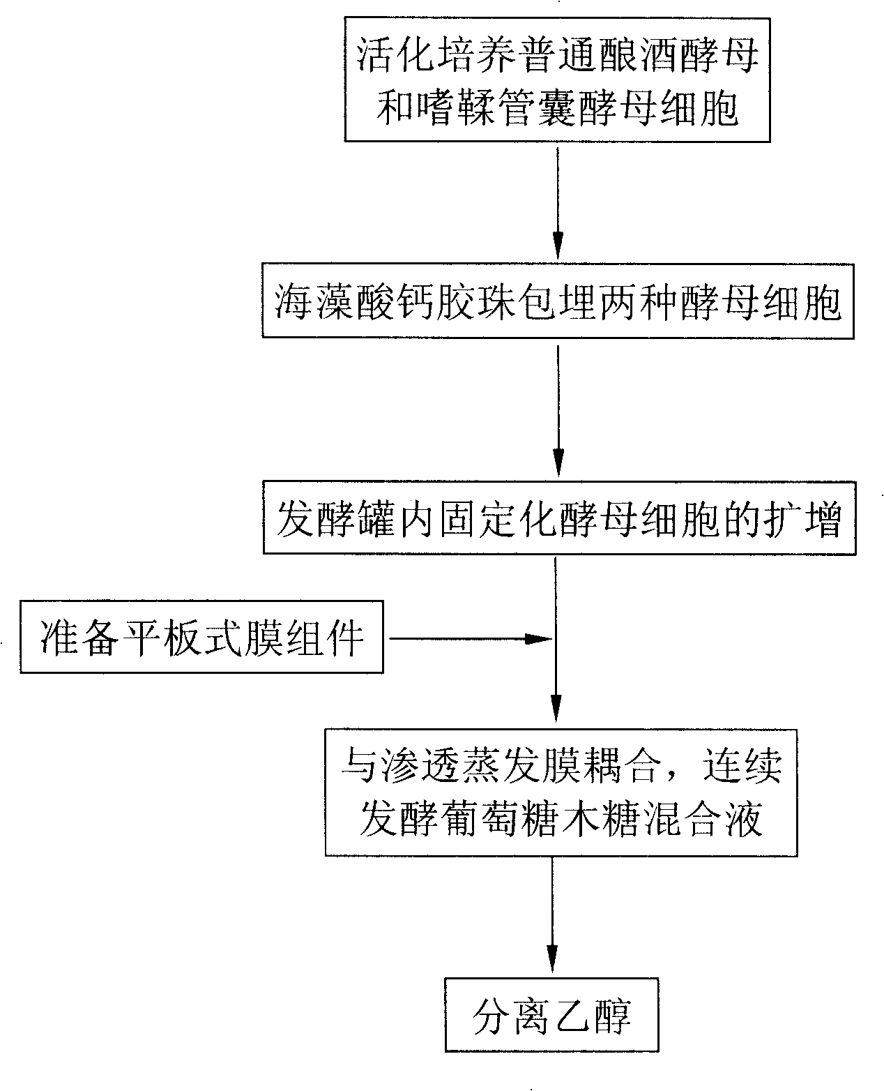 Method for continuous fermentation of glucose xylose by coupling immobilized yeast cell and pervaporation membrane