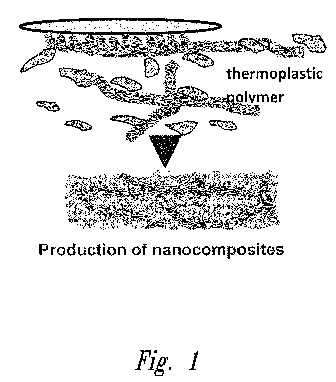 Method of in situ bioproduction and composition of bacterial cellulose nanocomposites