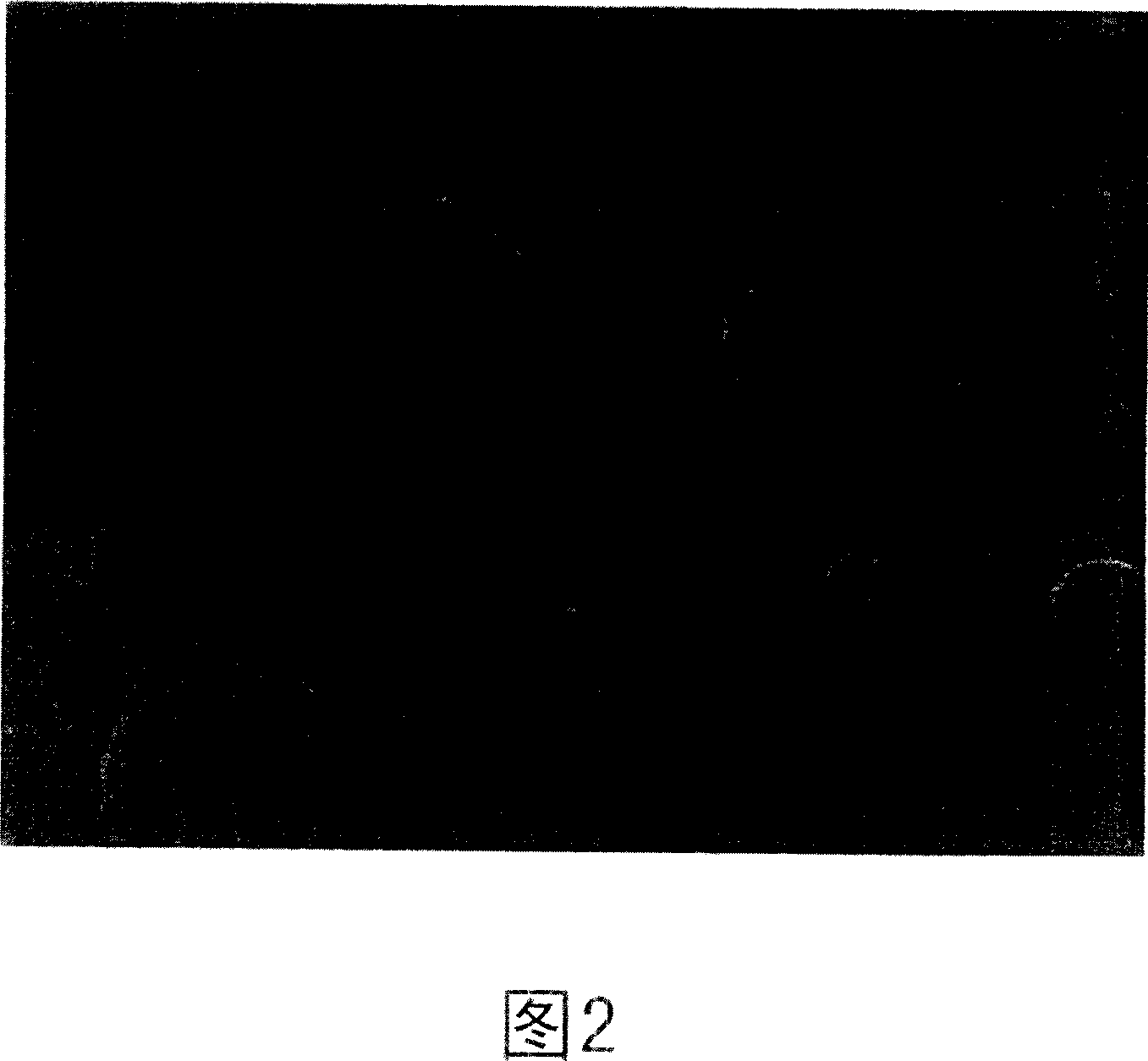 Composite carbon material having metal carbide particles dispersed therein and method for preparation thereof