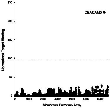 Antibody resisting carcinoembryonic antigen and preparation method and application of antibody