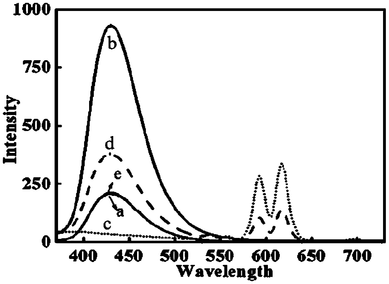 One for detecting hg  <sup>2+</sup> Dual emission rare earth fluorescent probe, preparation method and application