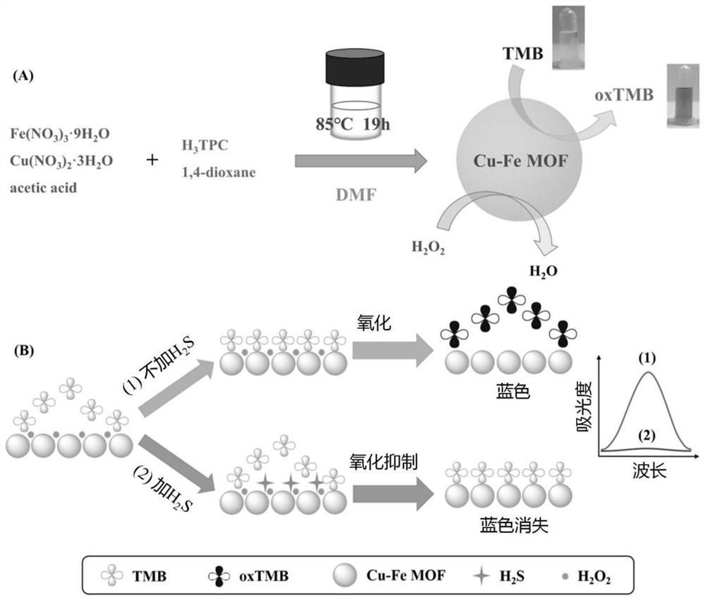 Hydrogen sulfide colorimetric sensor for targeted induction of mimic enzyme inactivation based on mixed node metal organic framework material