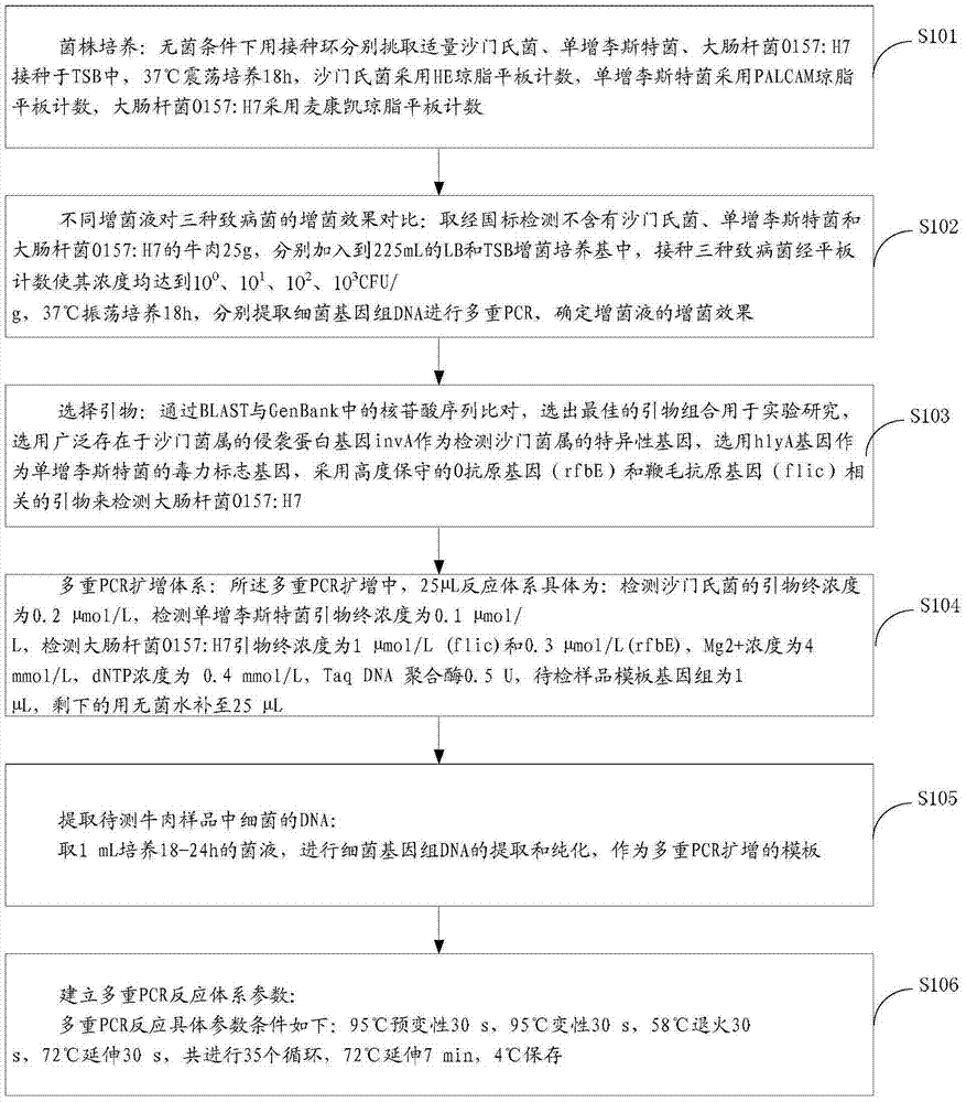 Multiplex PCR (polymerase chain reaction) method for testing three main pathogens in beef