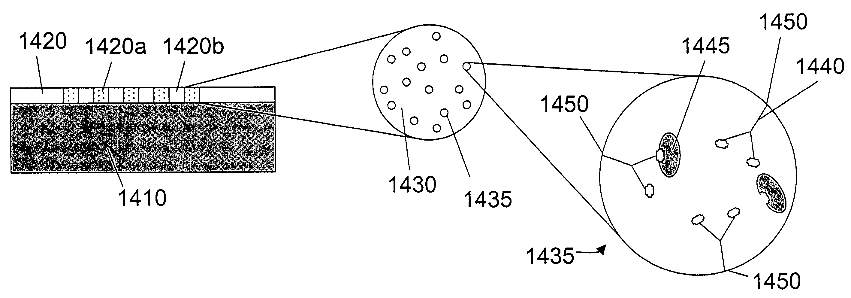 Device and method for detection and identification of biological agents