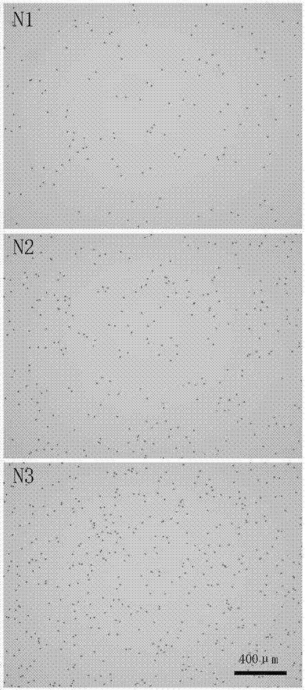 Microfluidic syringe filter head and use method thereof