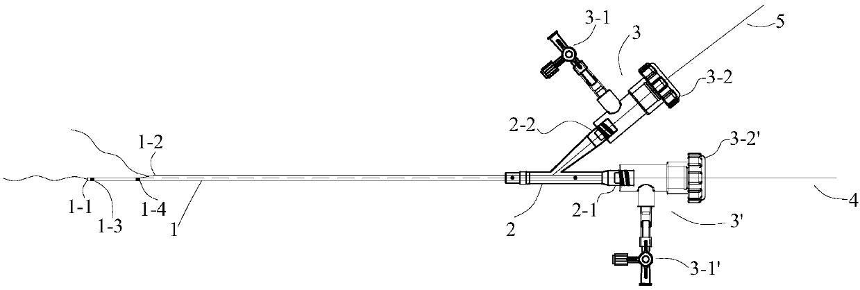 Double-lumen radiography catheter