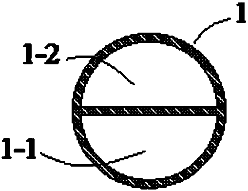 Double-lumen radiography catheter