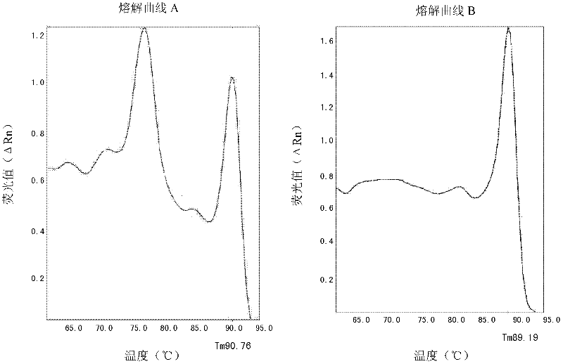 sybr Green I detection method of hla-b*1502 gene and its special primers and kits