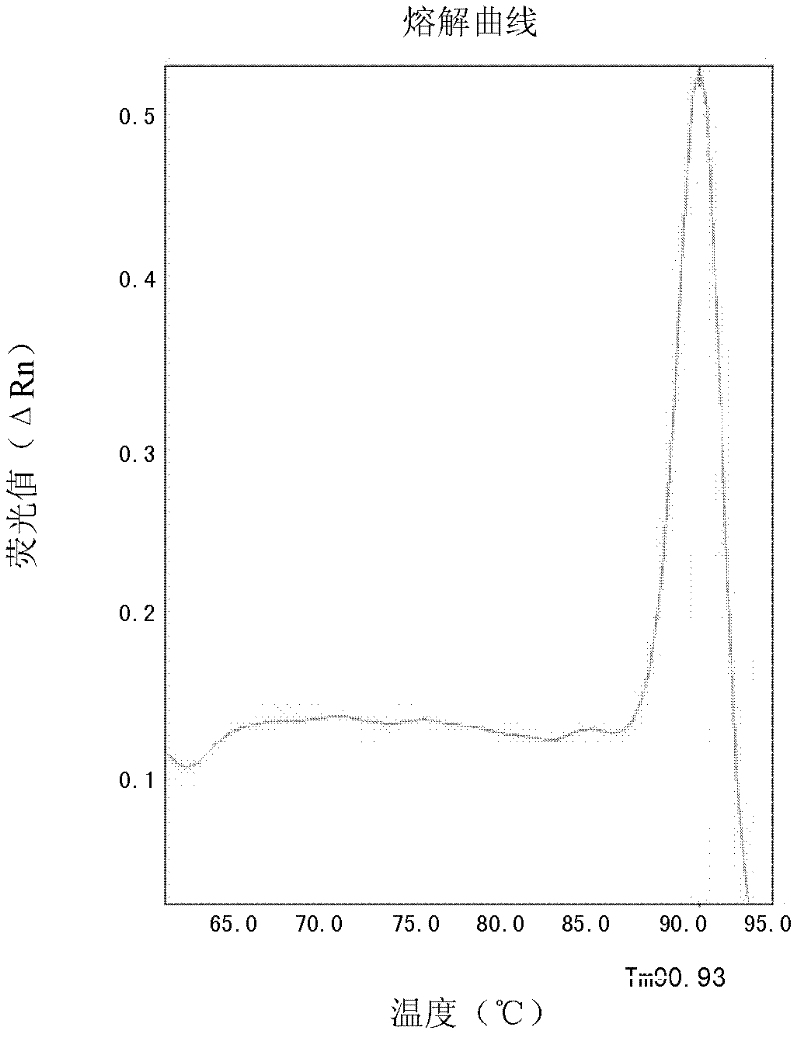 sybr Green I detection method of hla-b*1502 gene and its special primers and kits