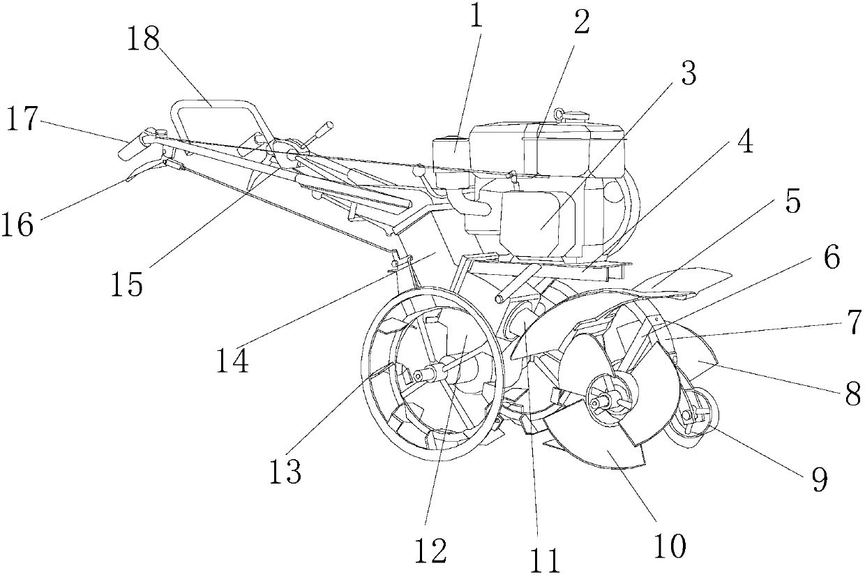 Striding adjustable cultivator-hiller