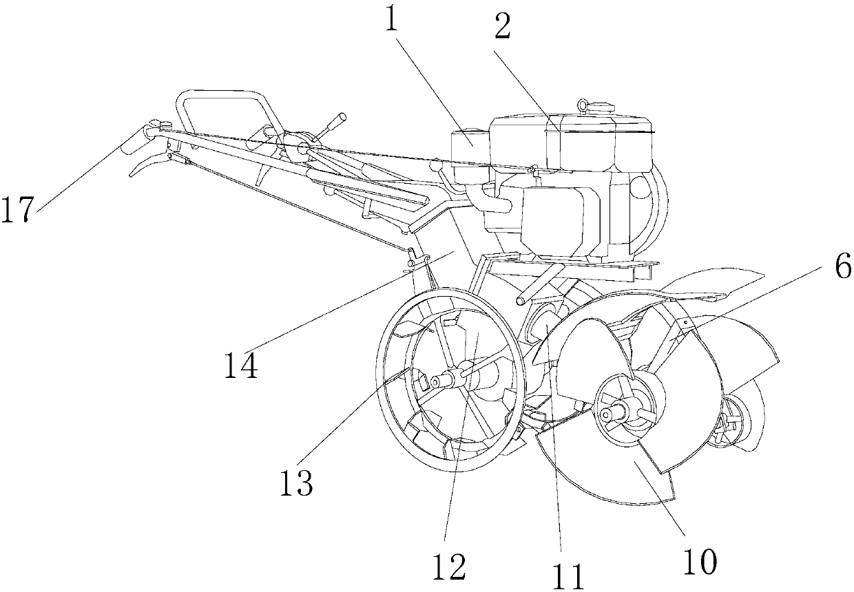 Striding adjustable cultivator-hiller