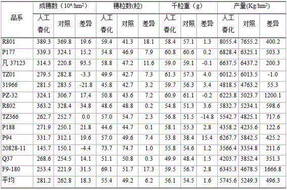 Application of artificial vernalization in yield breeding of wheat and method of application