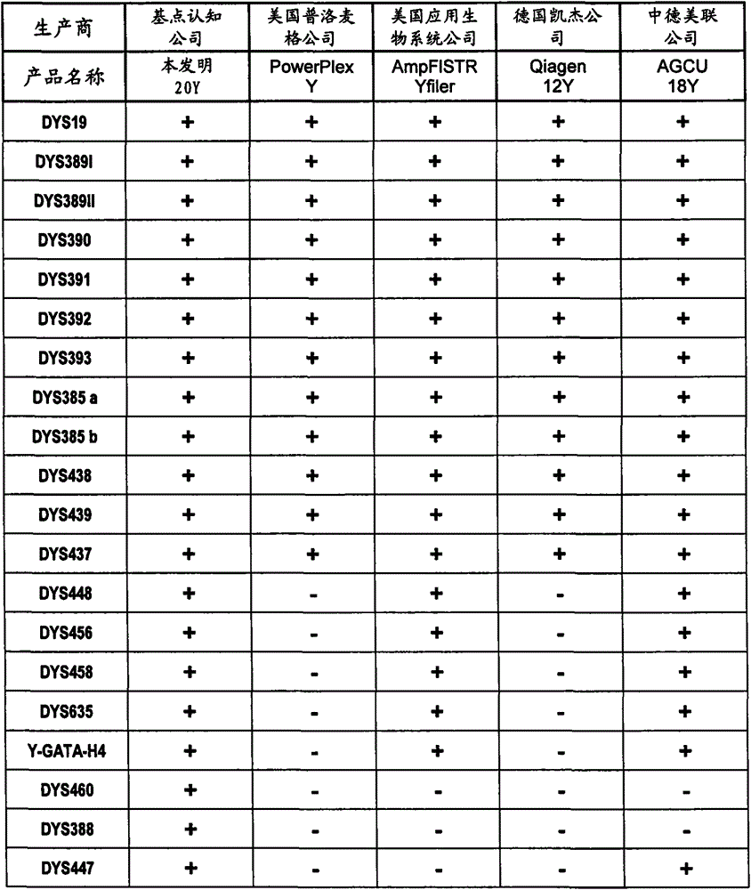 Multiplex Amplification Kit for 20 Y Chromosome Short Tandem Repeats