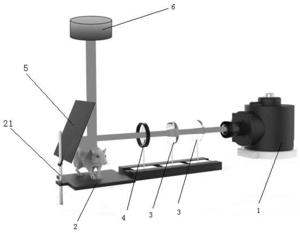 Surgical navigation system and its construction method for tumor primary lymph nodes in the second near-infrared region