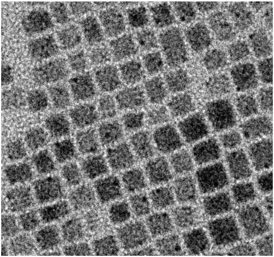 Method for synthesizing CsSnX3 perovskite quantum dots by microwave-assisted heating