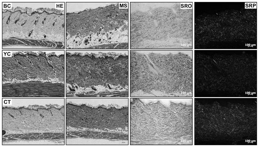 A kind of preparation method of anti-aging fish-derived collagen peptide