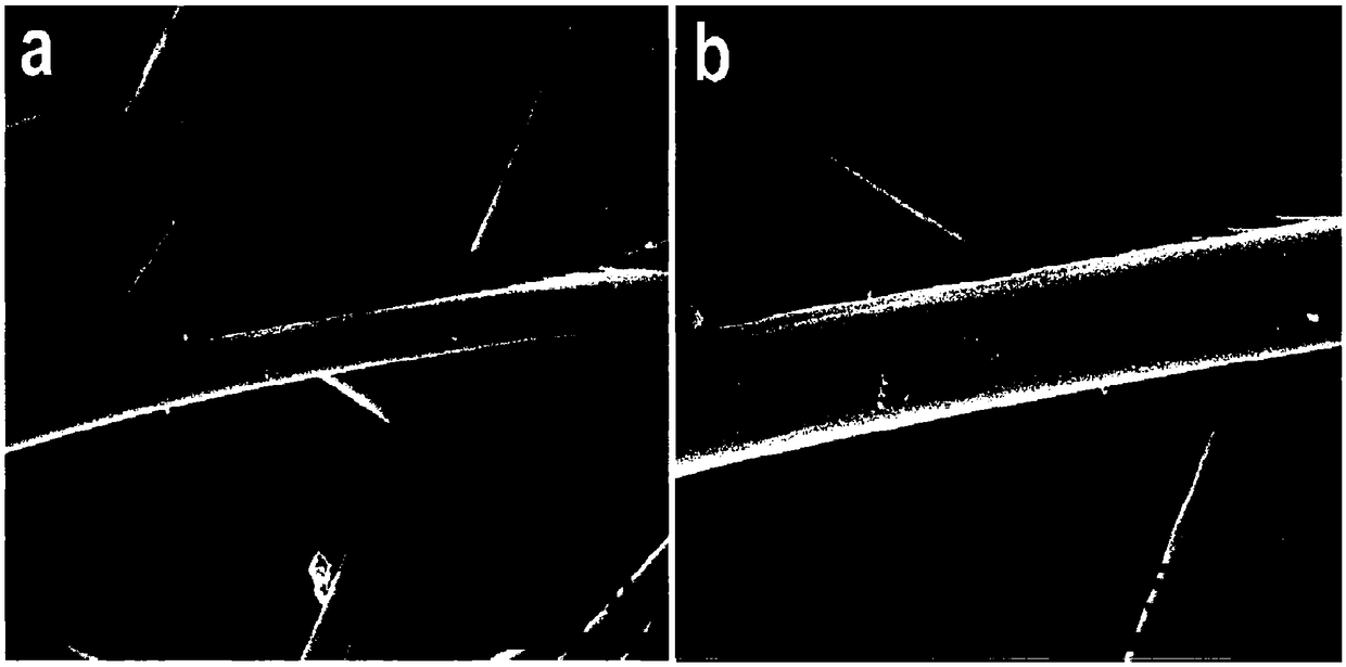 Superhydrophobic multifunctional membrane and preparation method and application thereof in oil-water separation