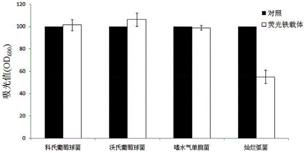 Novel application of pseudomonas aeruginosa fluorescene ironophore