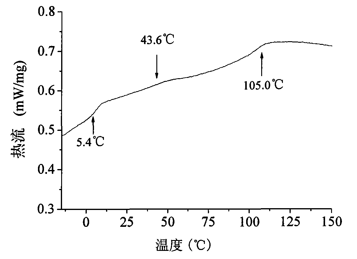 Two-component acrylic acid series polymer/montmorillonite nano composite spinning sizing agent and its preparation method