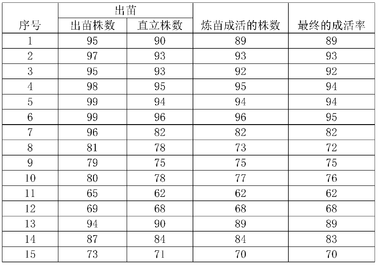 Astragalus propinquus seedling raising and cultivation method