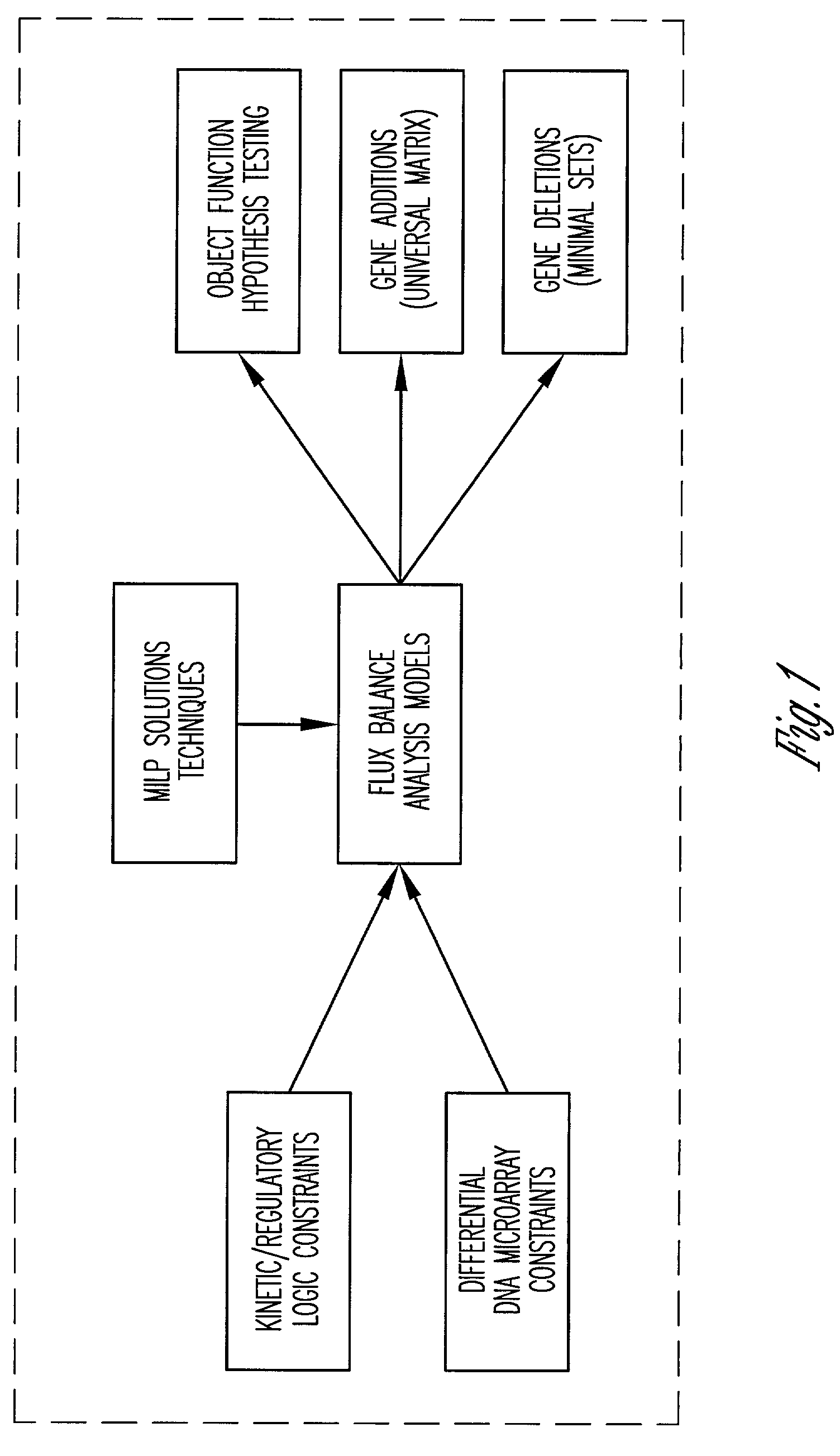 Method and system for modeling cellular metabolism