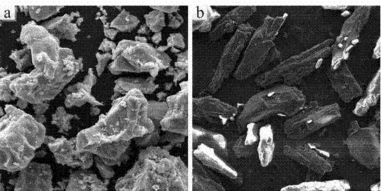 Preparation method of titanium foams for cancellous bone