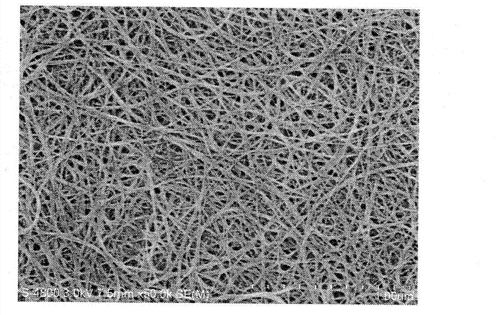 Oil-water separating device and method based on carbon nanotube film