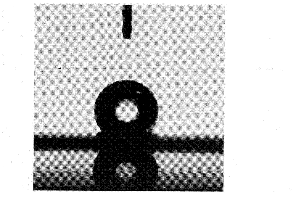 Oil-water separating device and method based on carbon nanotube film