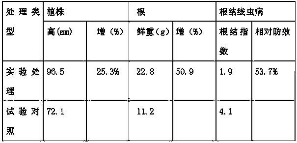 Bio-control agent for preventing and controlling root-knot nematodes, and application thereof