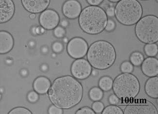 A kind of nano-starch-based microgel microsphere and its preparation method and application