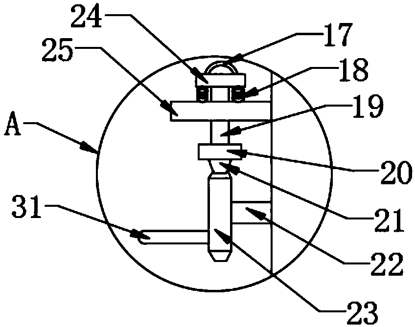 Taekwondo training device for physical education