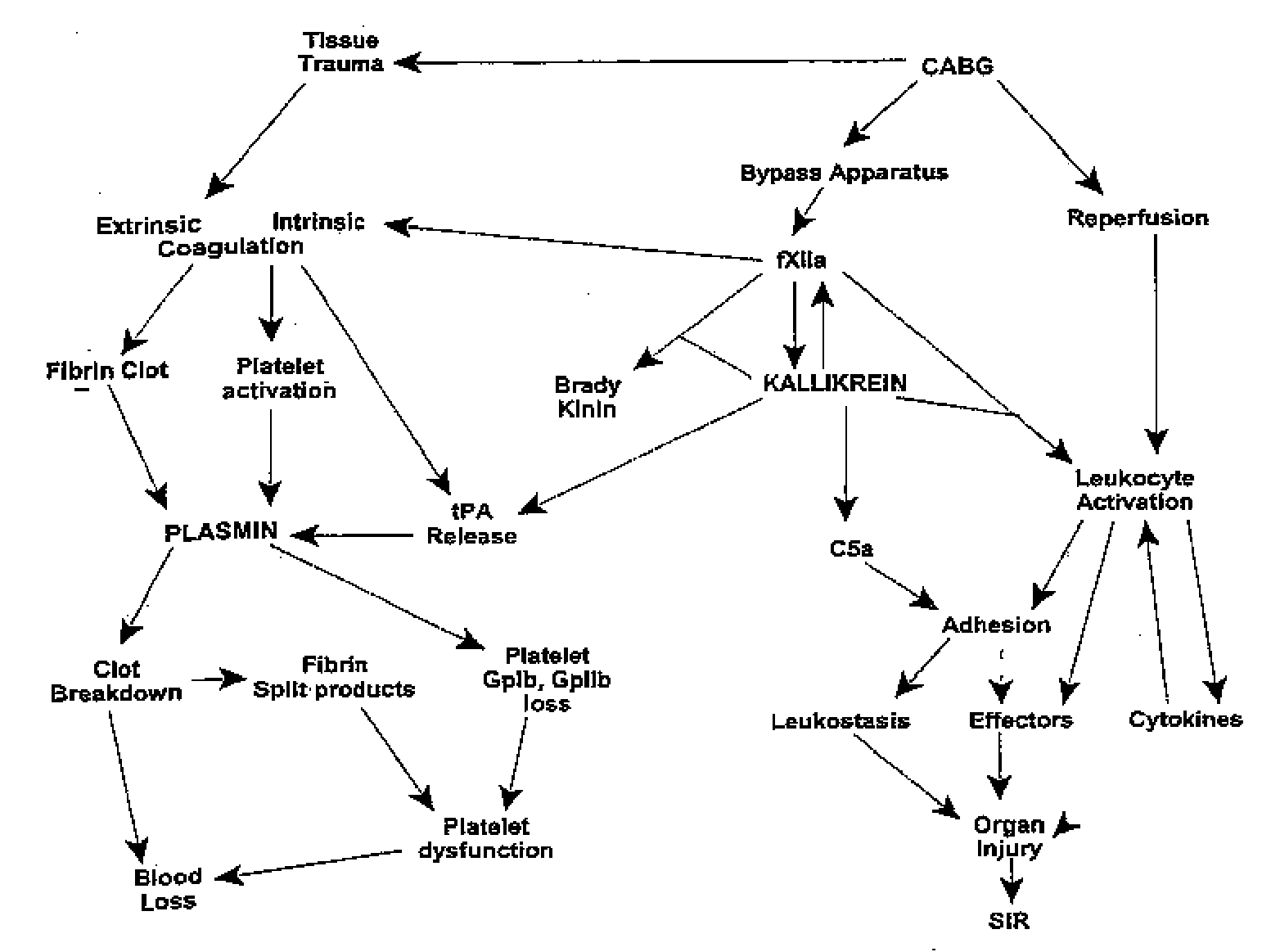 Methods for preserving organs and tissues