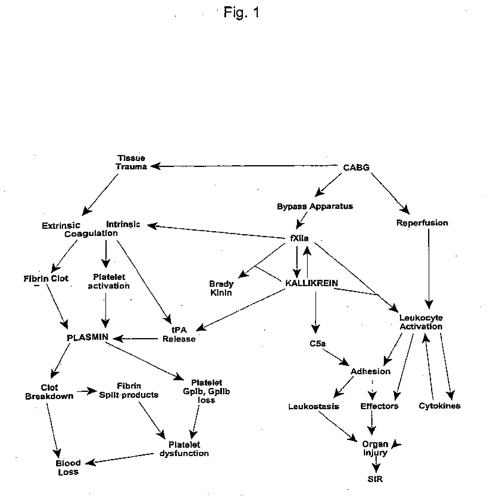 Methods for preserving organs and tissues