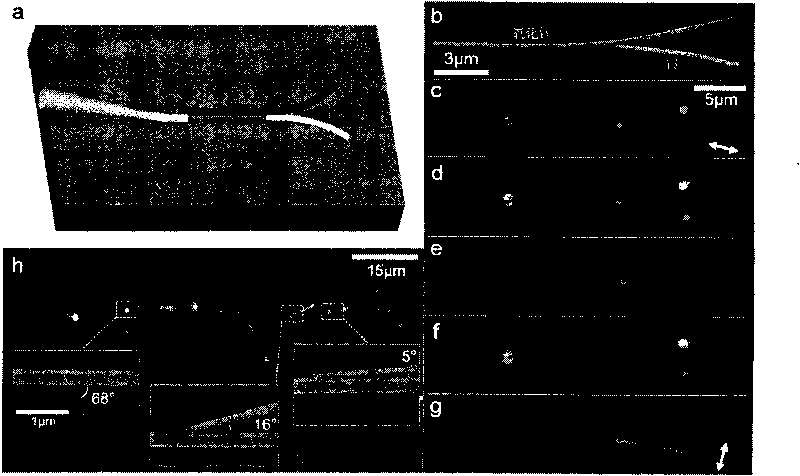 Composite guided wave structure formed by coupling metal nano lines, nano optical fiber and optical nano line