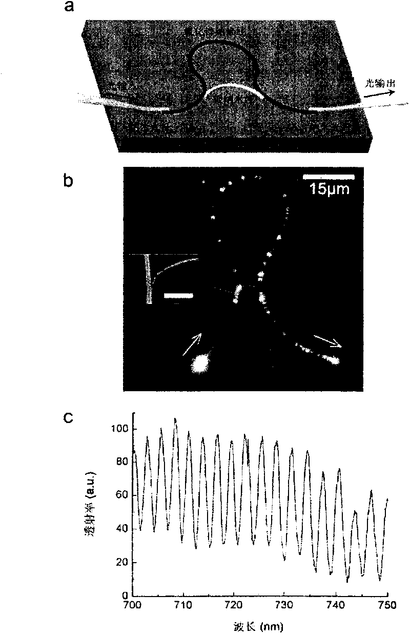 Composite guided wave structure formed by coupling metal nano lines, nano optical fiber and optical nano line