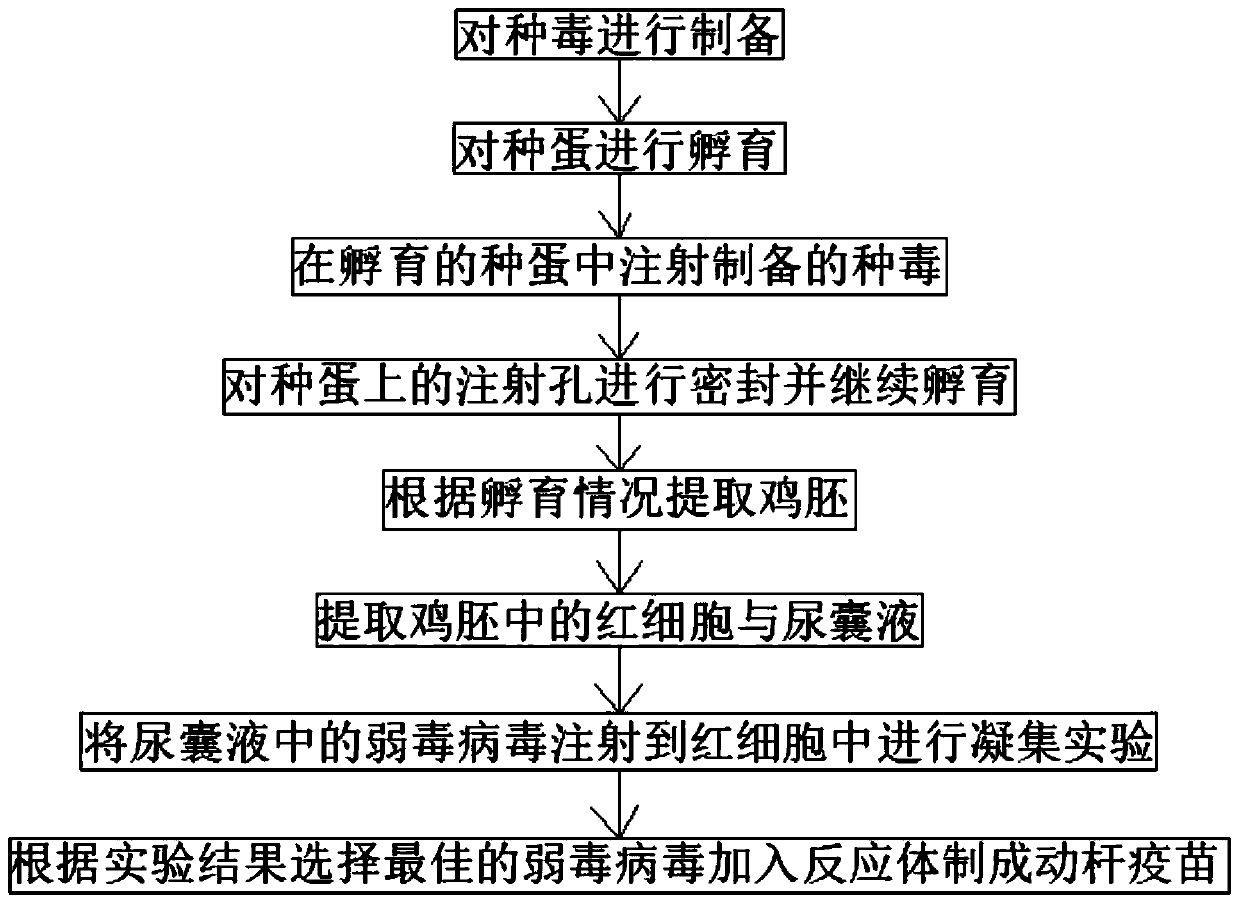 Newcastle disease attenuated sugar vitrified vaccine and preparation method thereof