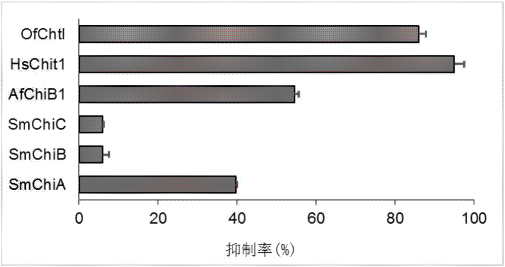 Application of kasugamycin and derivatives thereof as chitinase inhibitor