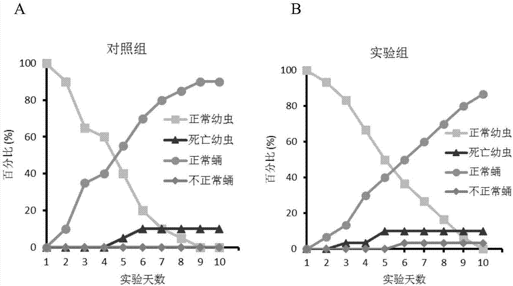 Application of kasugamycin and derivatives thereof as chitinase inhibitor