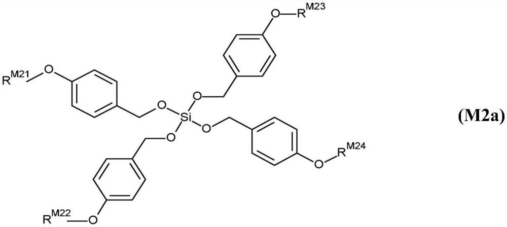 Twin-monomer composition and dielectric film thereof