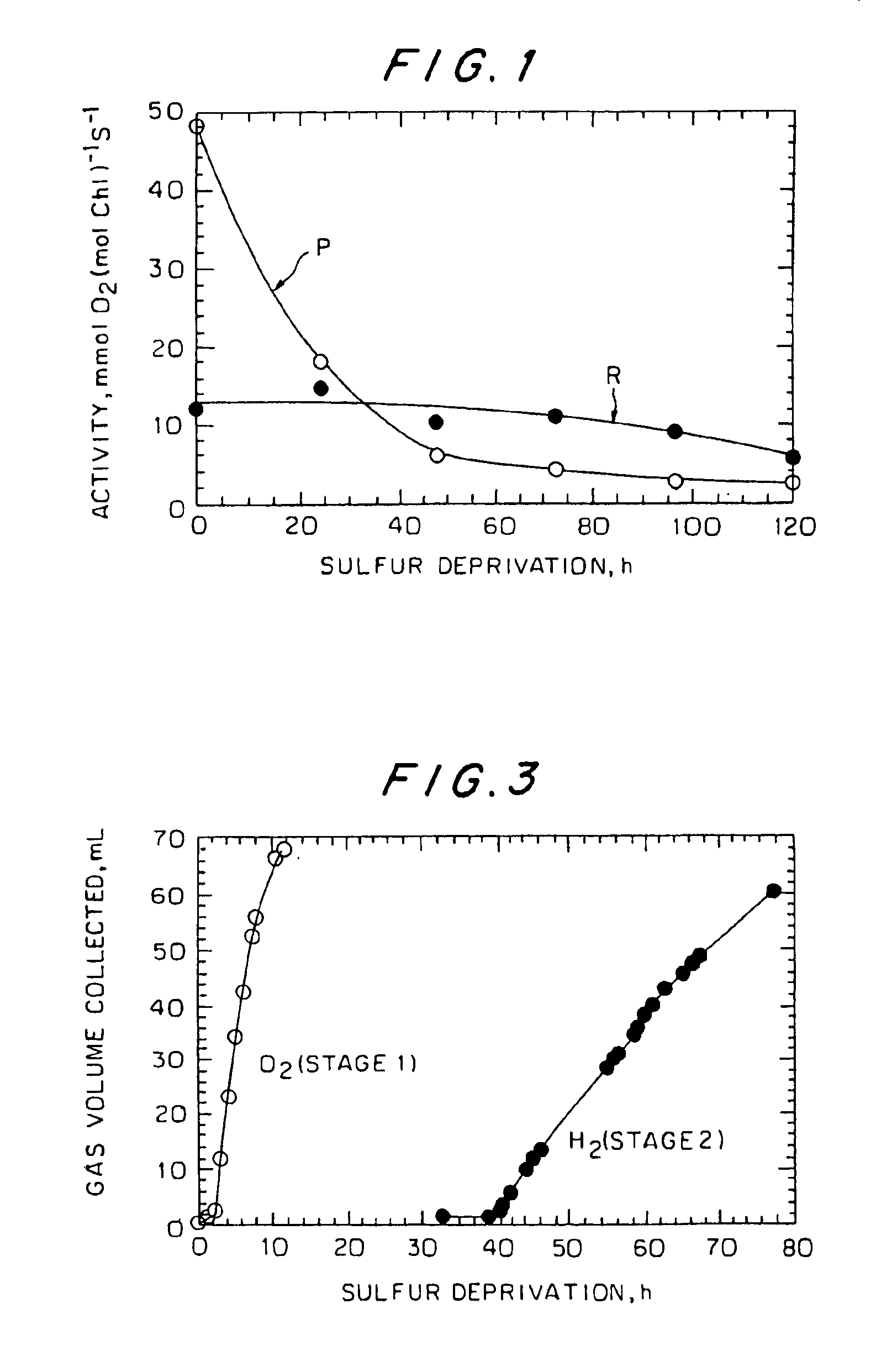 Hydrogen production using hydrogenase-containing oxygenic photosynthetic organisms