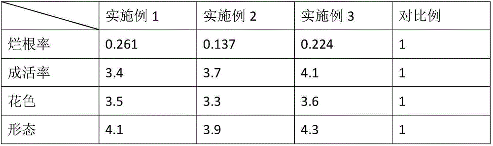 Planting method of peonies