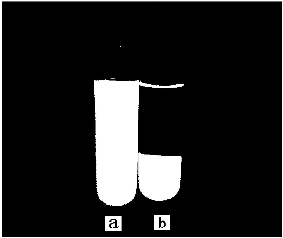 Modified hydroxyapatite complex polycaprolactone-chitosan double-layer membrane and preparation method thereof